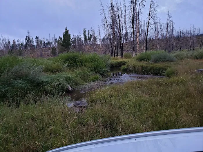 Parish Cabin Campground Picture 8