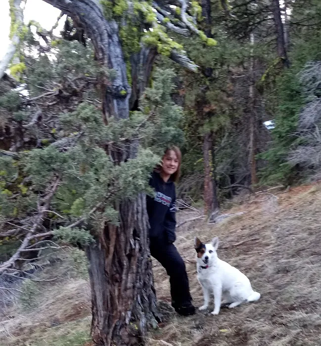 Parish Cabin Campground Picture 4