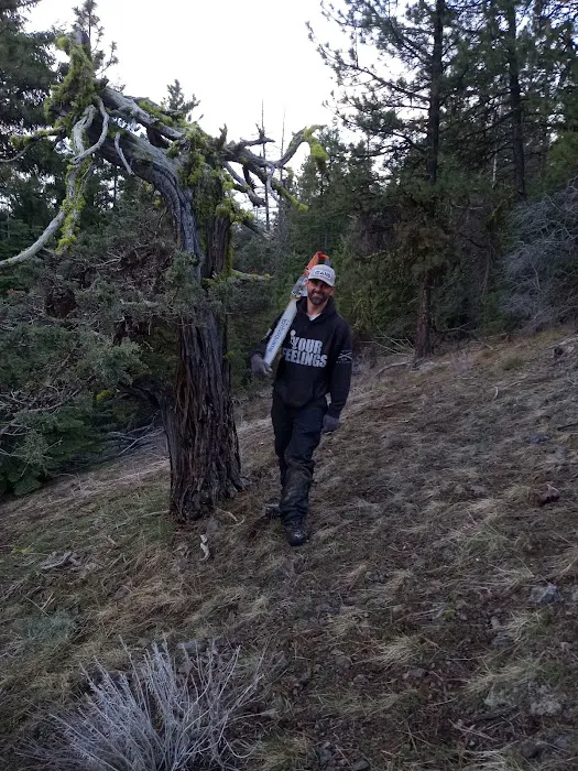 Parish Cabin Campground Picture 7