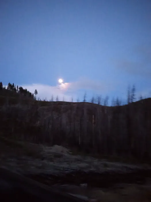 Parish Cabin Campground Picture 10