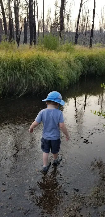 Parish Cabin Campground Picture 9