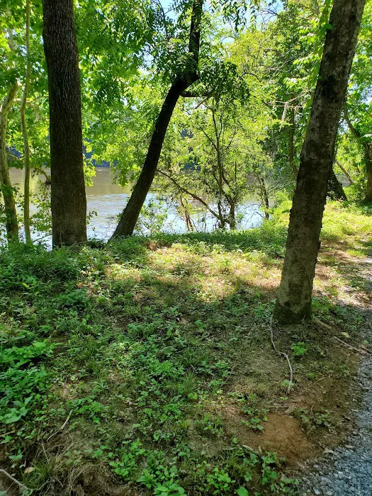 Camp Sherrye on the Coosa Picture 6