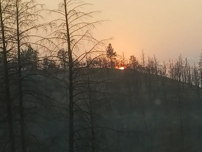 Malheur National Forest Wickiup Campground Picture 5