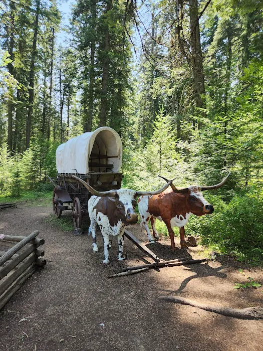 Emigrant Springs Campground Picture 3