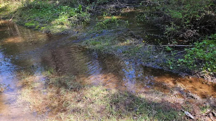 Emigrant Springs Campground Picture 5