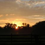 Eagle's Nest Extended Stay RV Park