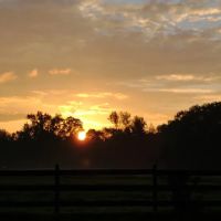 Eagle's Nest Extended Stay RV Park ico