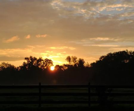 Eagle's Nest Extended Stay RV Park