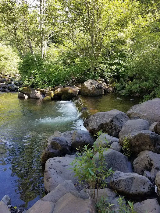 South Fork Campground Picture 2