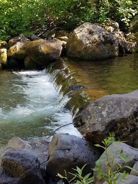 South Fork Campground Picture 1