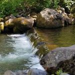 South Fork Campground