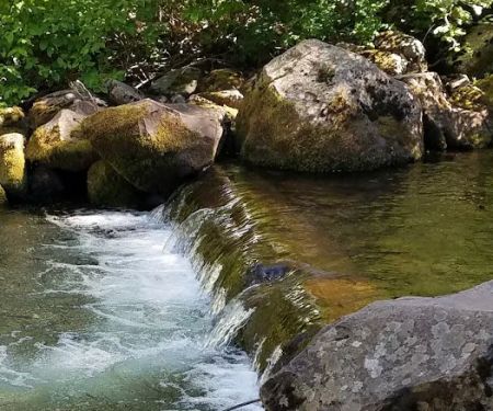 South Fork Campground