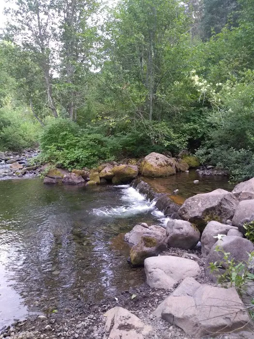 South Fork Campground Picture 4