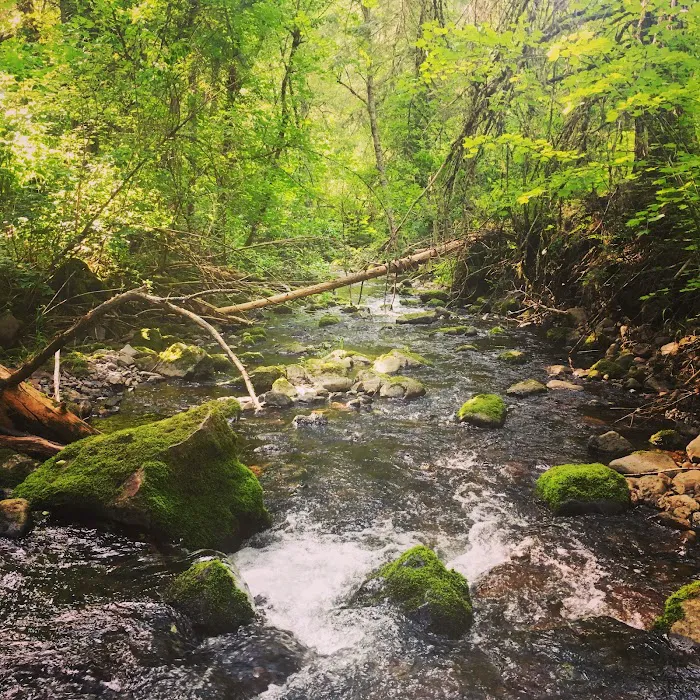 Umatilla Forks Campground Picture 2