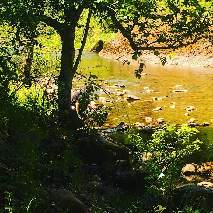 Umatilla Forks Campground Picture 7