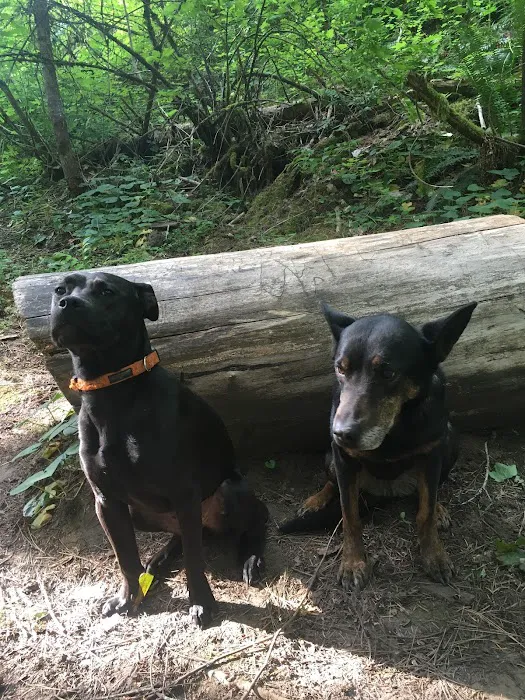 Umatilla Forks Campground Picture 5