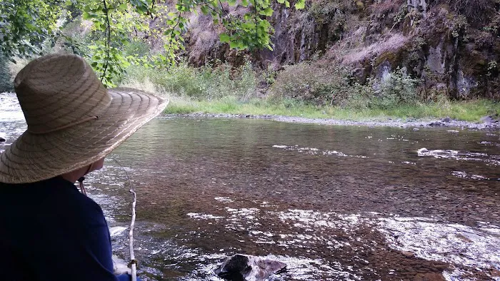 Umatilla Forks Campground Picture 8