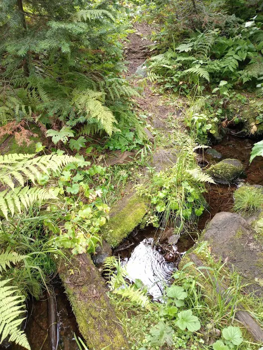 Woodward Campground Picture 4