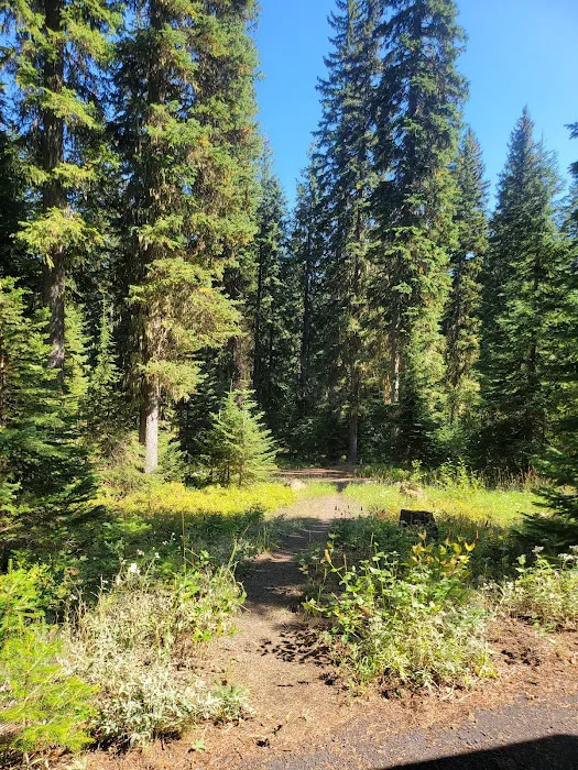 Woodward Campground Picture 2