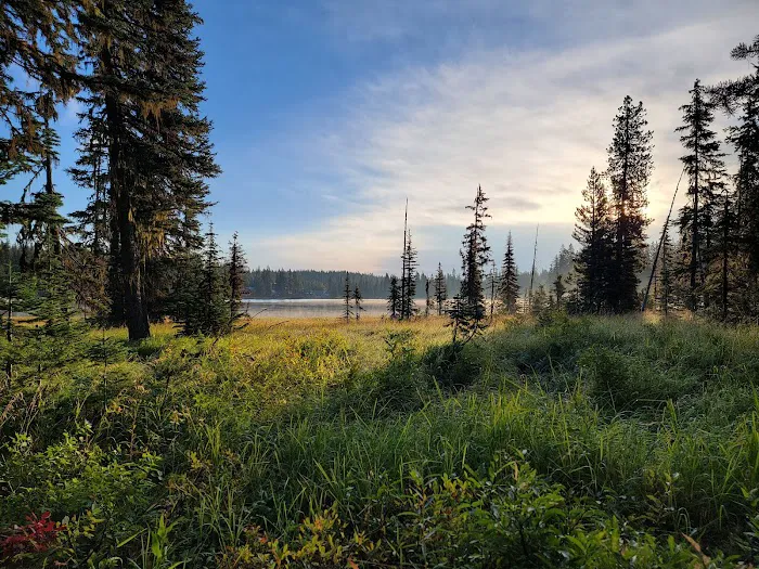 Woodward Campground Picture 3