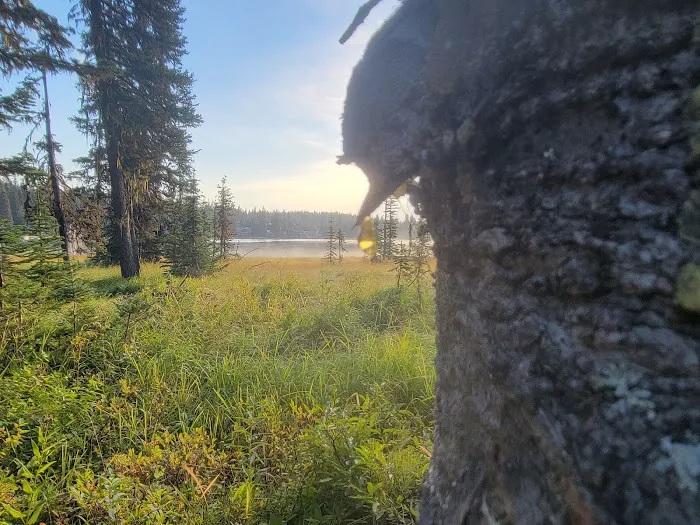 Woodward Campground Picture 8