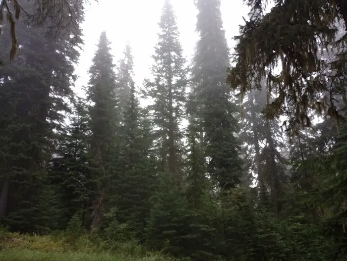 Woodward Campground Picture 7