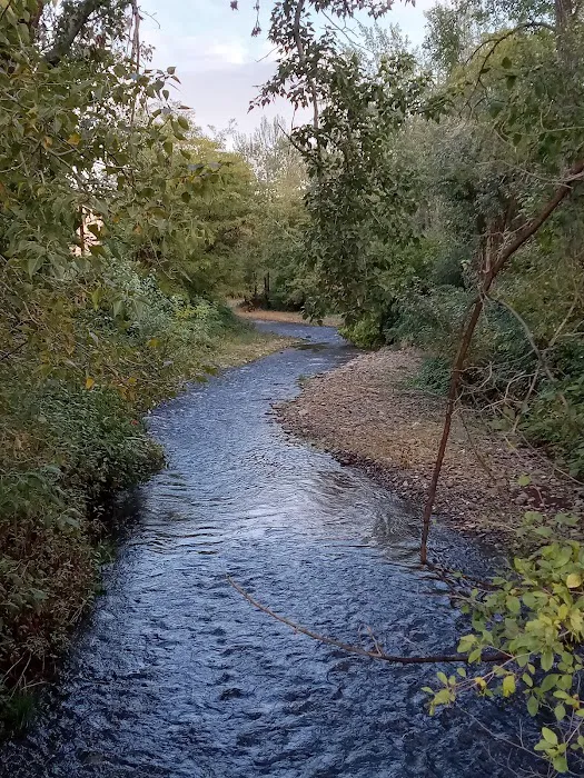 Harris Park Picture 4