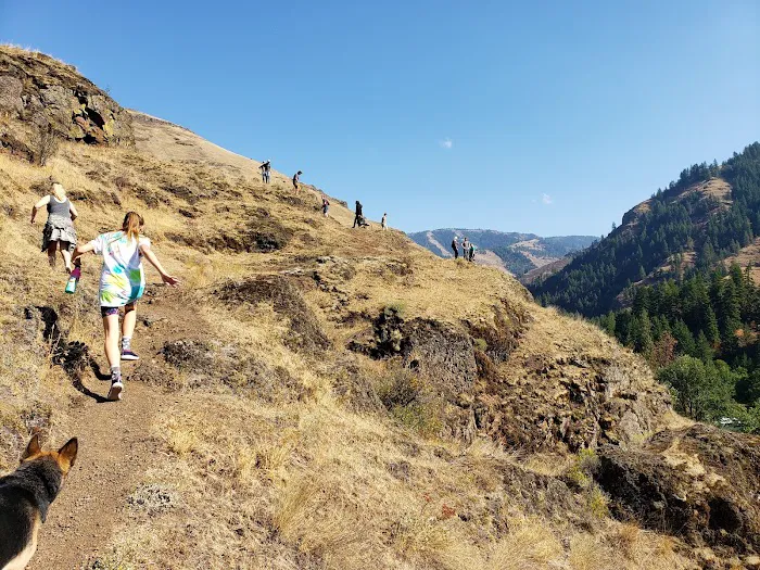 Harris Park Picture 7