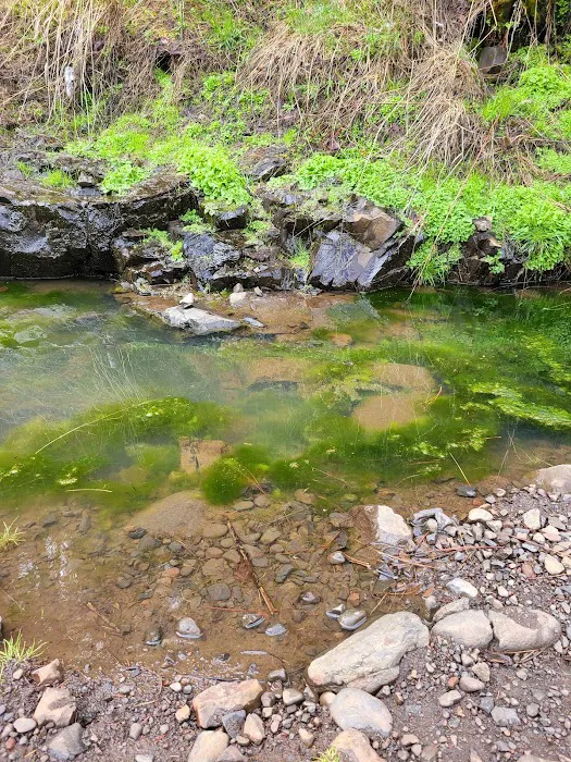 Harris Park Picture 6