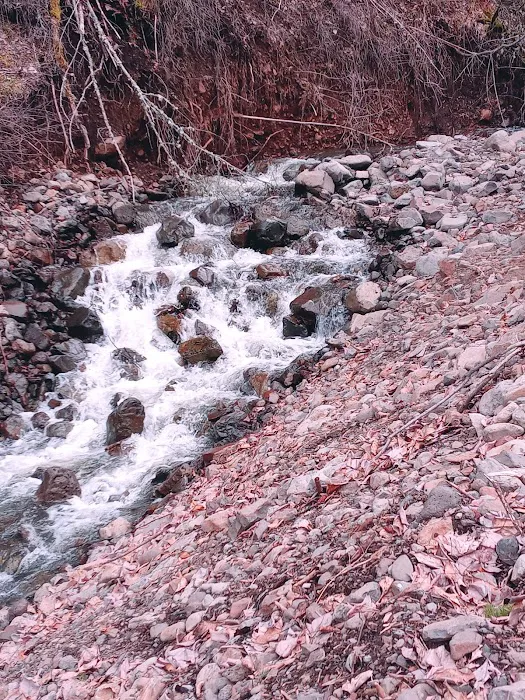 Harris Park Picture 8