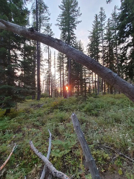 Woodland Campground Picture 2