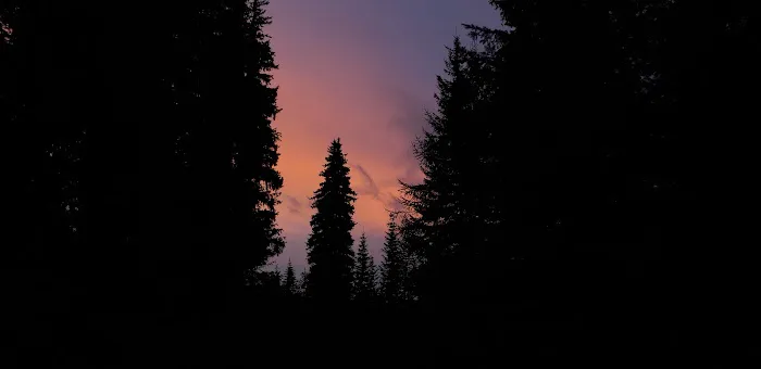 Woodland Campground Picture 1