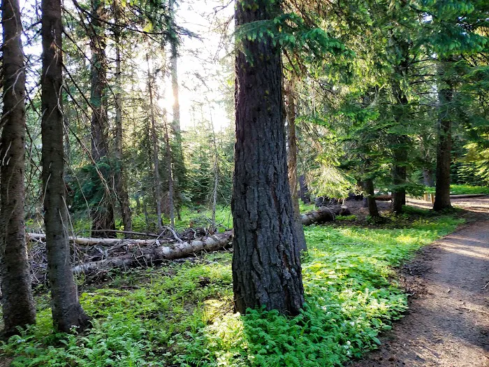 Woodland Campground Picture 6