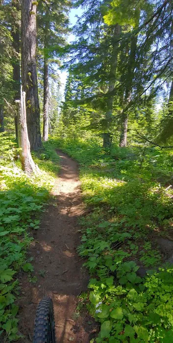 Woodland Campground Picture 5