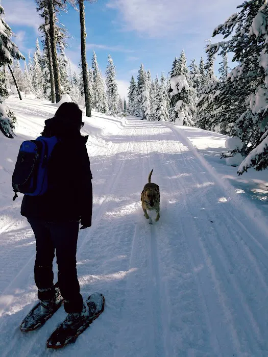 Woodland Campground Picture 7