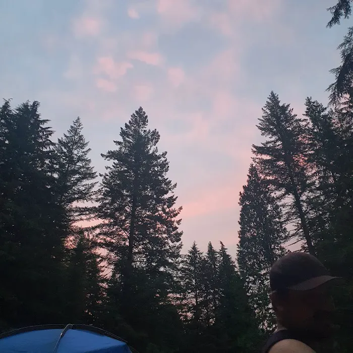 Woodland Campground Picture 4