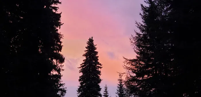 Woodland Campground Picture 10