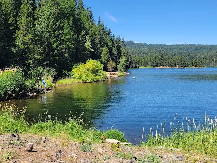 Jubilee Lake Campground Picture 2