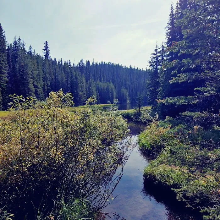 Jubilee Lake Campground Picture 3