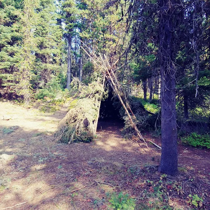 Jubilee Lake Campground Picture 5