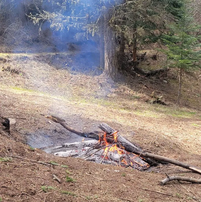 Harmony Retreat Picture 8