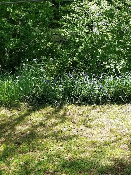 Longmeadow Mobile Home Community Picture 6