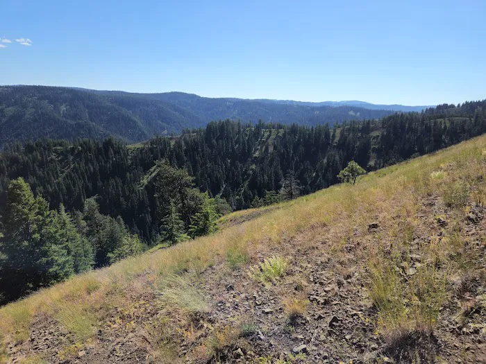 Godman Campground/Trailhead Picture 1