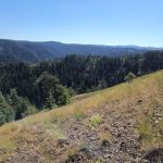 Godman Campground/Trailhead