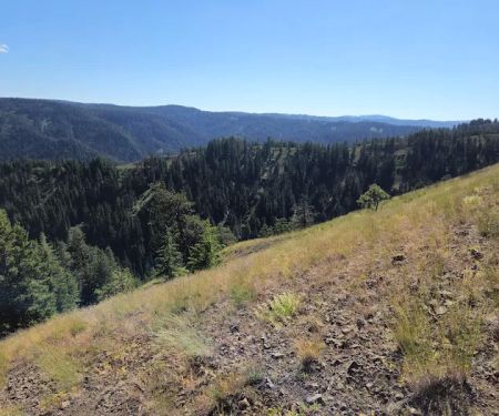 Godman Campground/Trailhead