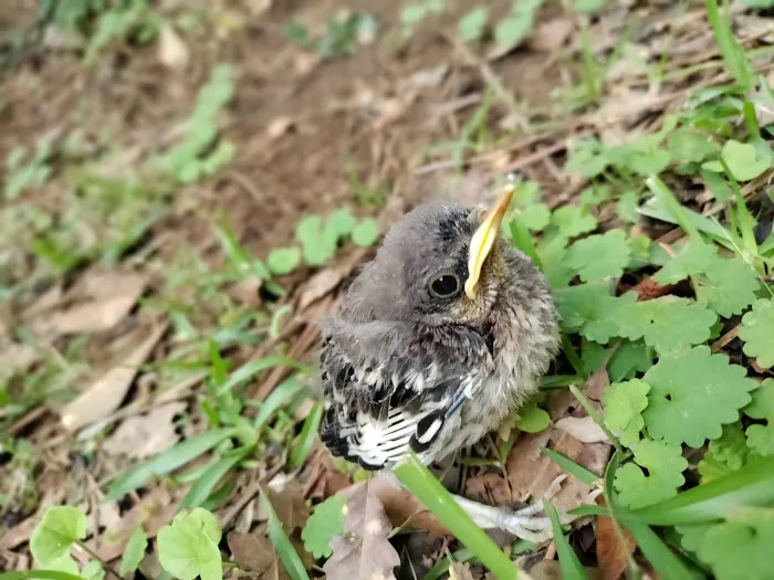 Knox Park Mobile Home Community Picture 6