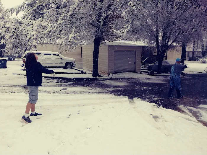 Knox Park Mobile Home Community Picture 4