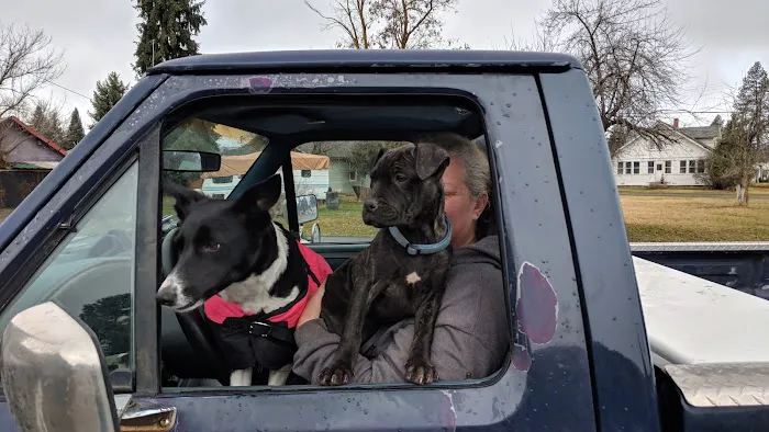 Wallowa Valley Stay & Wash Picture 5