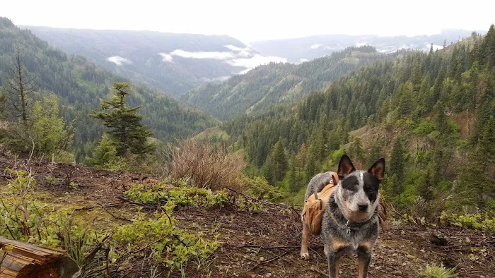 Teepee Campground Picture 3