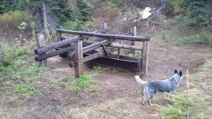 Teepee Campground Picture 1